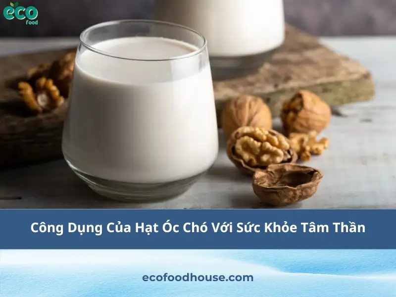 Lợi ích của sữa hạt óc chó