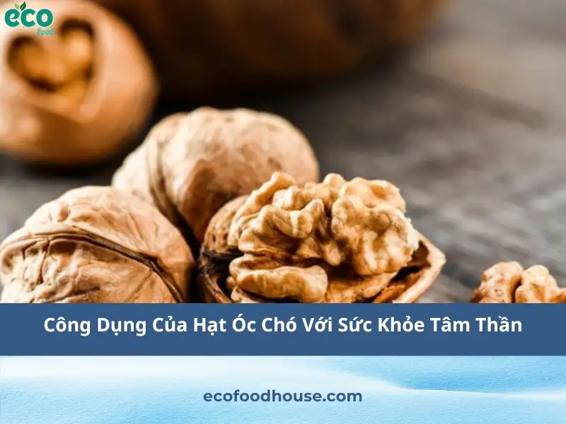 Công Dụng Của Hạt Óc Chó Với Sức Khỏe Tâm Thần