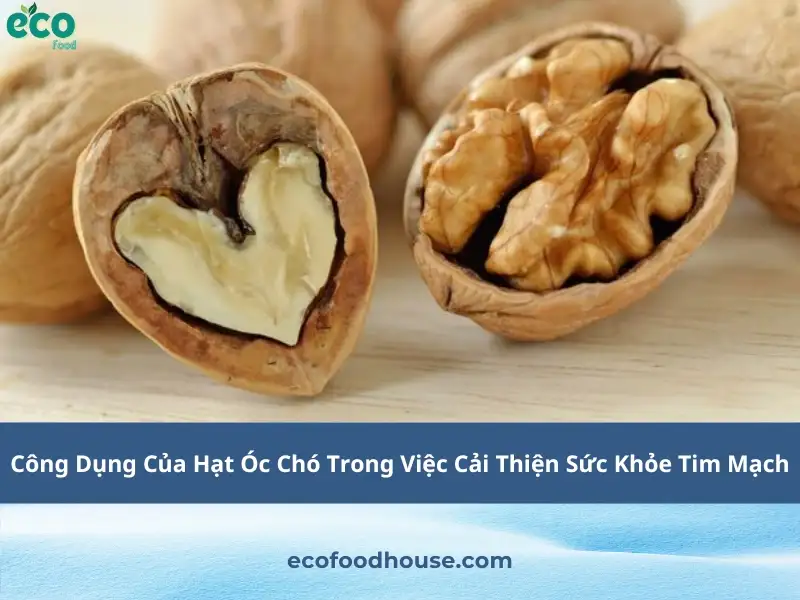 Công Dụng Của Hạt Óc Chó Trong Việc Cải Thiện Sức Khỏe Tim Mạch