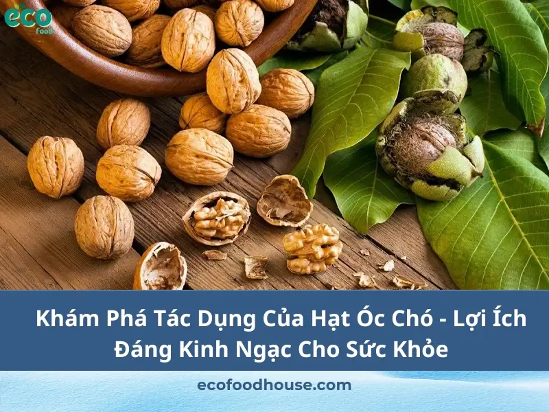 Khám Phá Tác Dụng Của Hạt Óc Chó